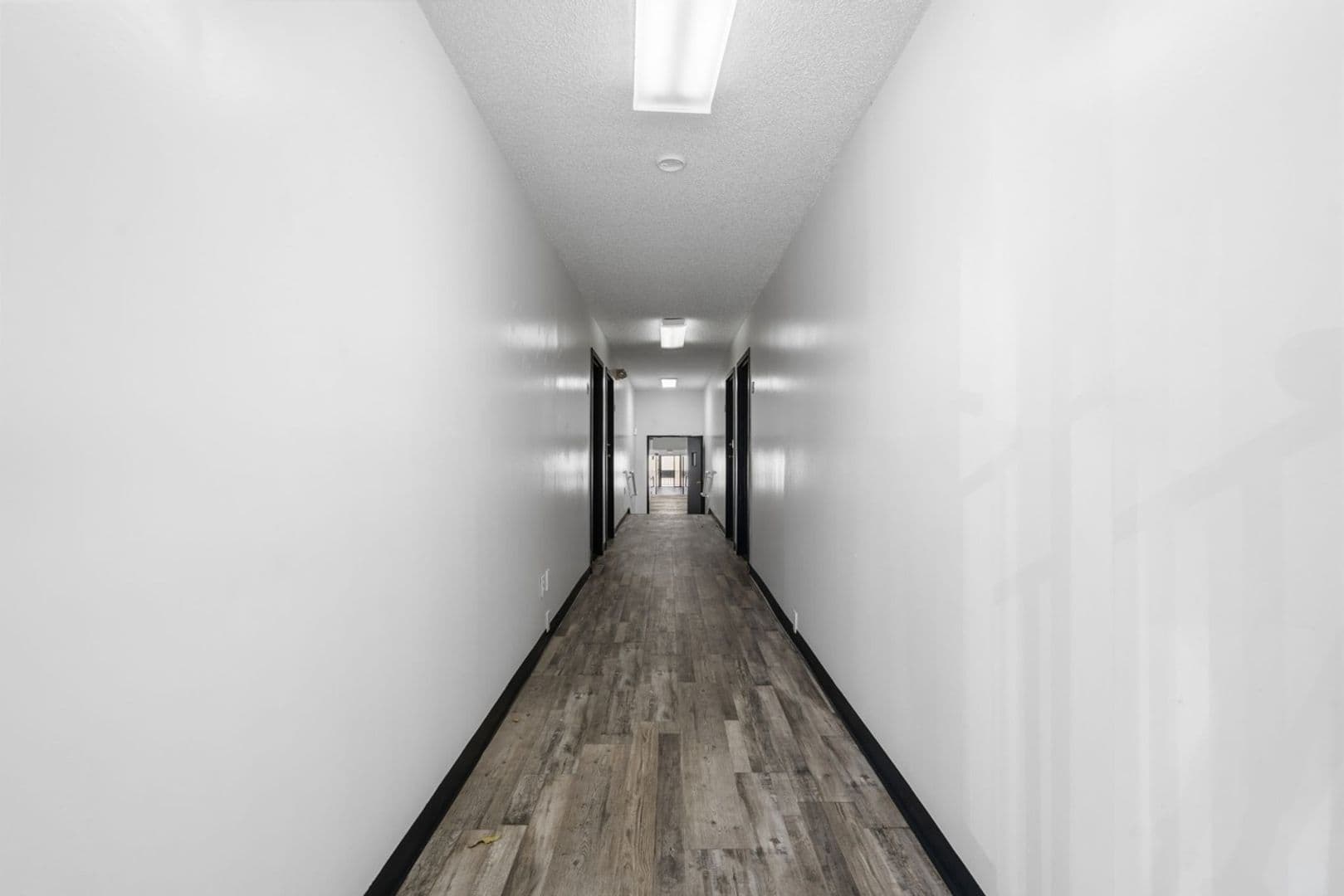 Springfield Apartment: 1015 E Walnut St