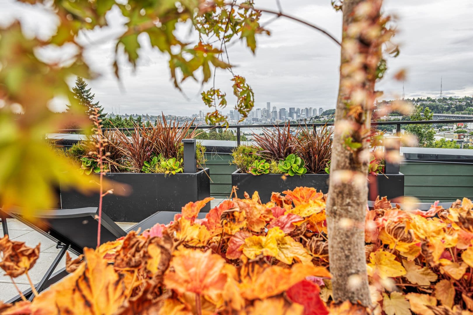 Seattle Apartment: 4015 Stone Way