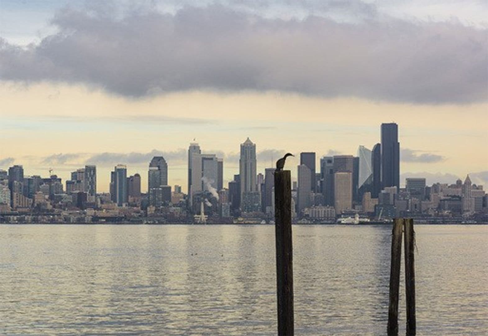 Seattle Apartment: 2425 Harbor Ave SW