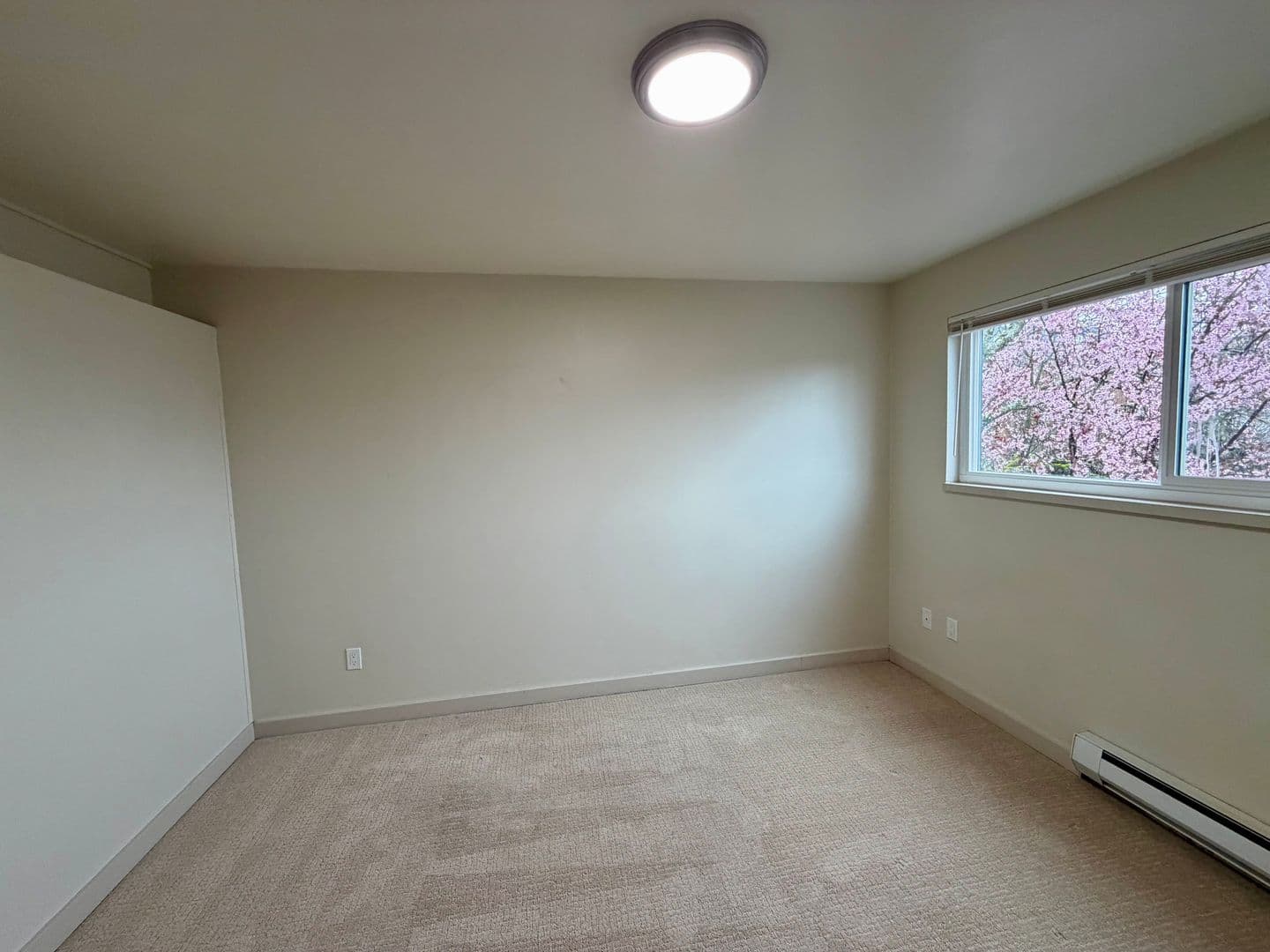 Seattle Apartment: 1653 21st Ave