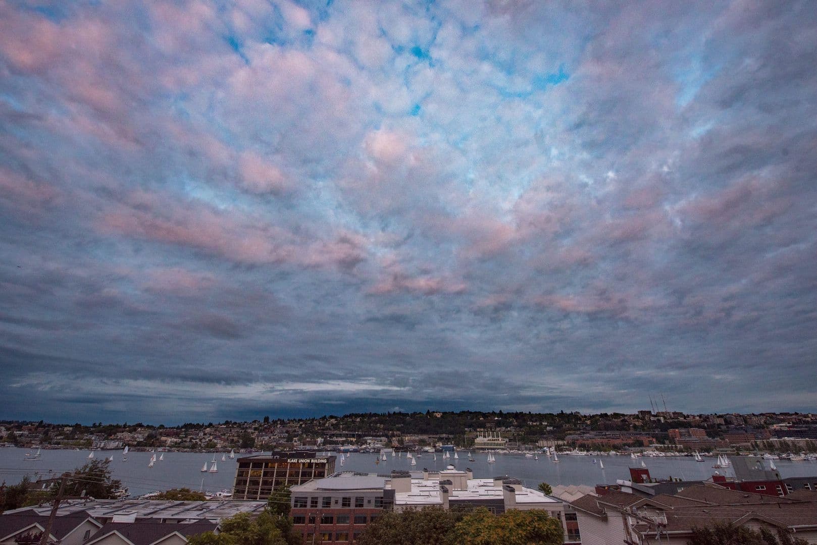 Seattle Apartment: 1701 Dexter Ave N