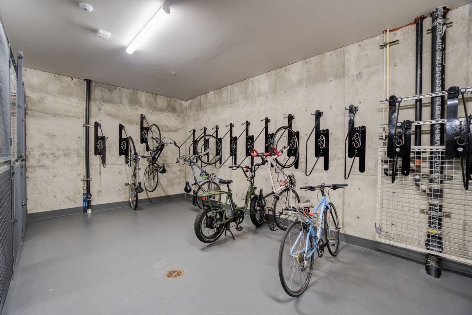 Seattle Apartment: 6301 15th Ave NW
