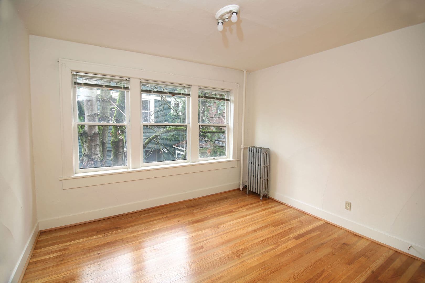 Seattle Apartment: 309 Belmont Ave E