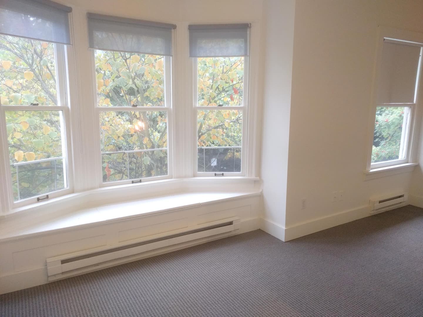 Seattle Apartment: 1420 Belmont Ave