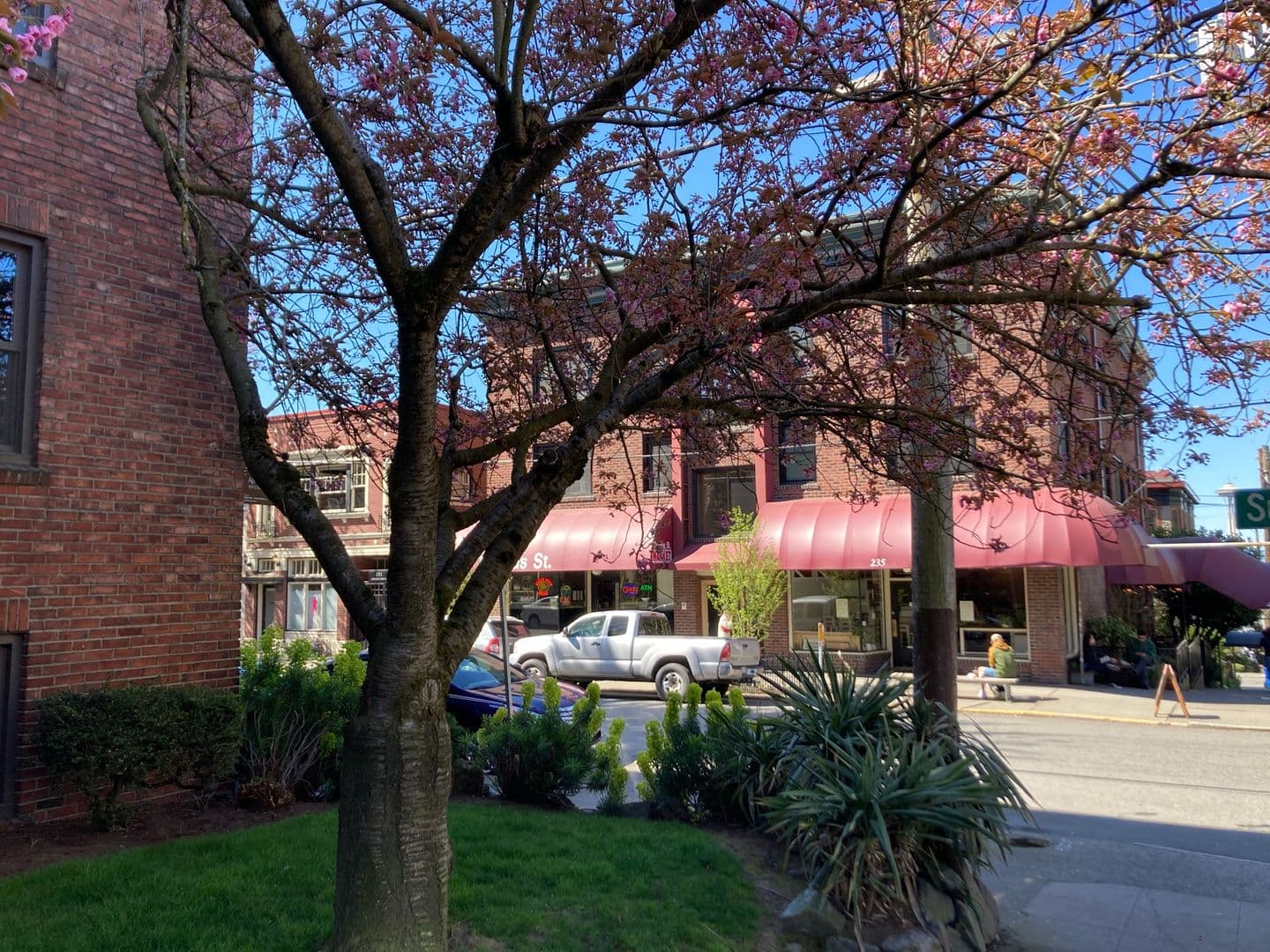 Seattle Apartment: 503 E Thomas St