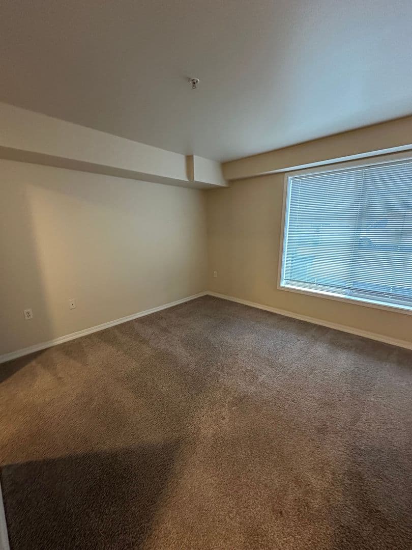 Renton Apartment: 110 Williams Ave S