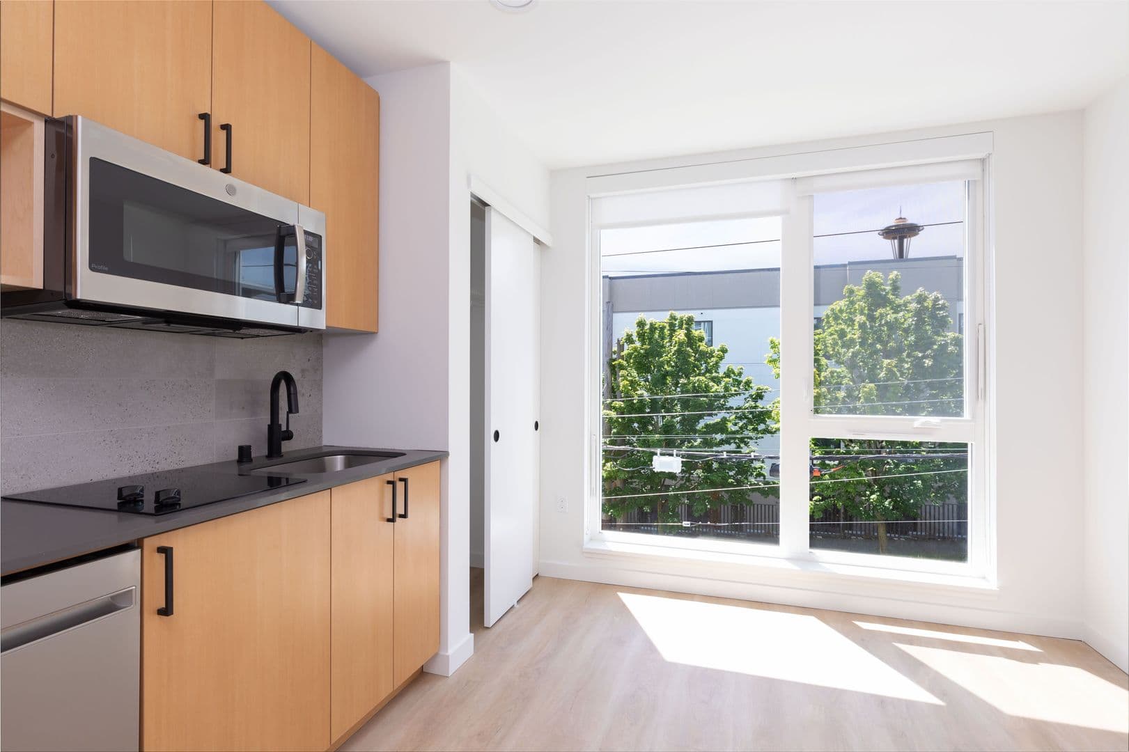 Seattle Apartment: 802 5th Ave N