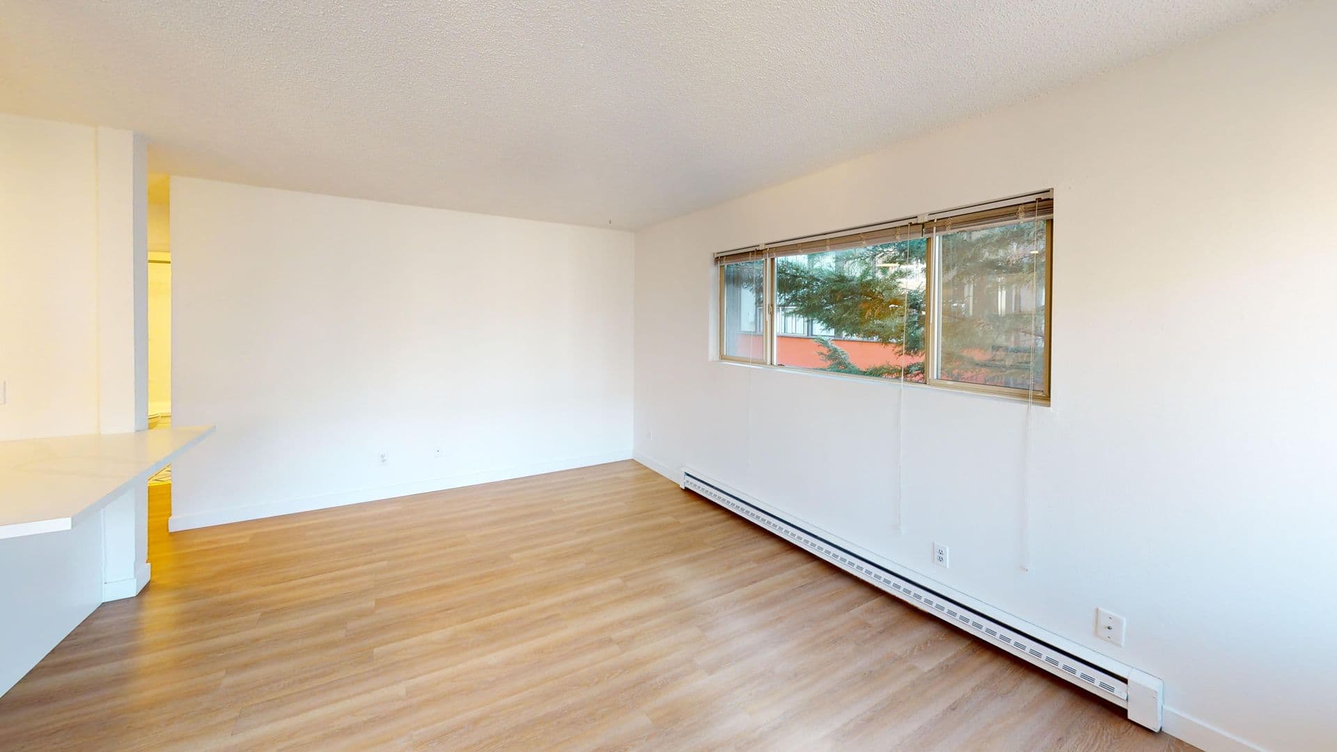 Seattle Apartment: 323 Belmont Ave E