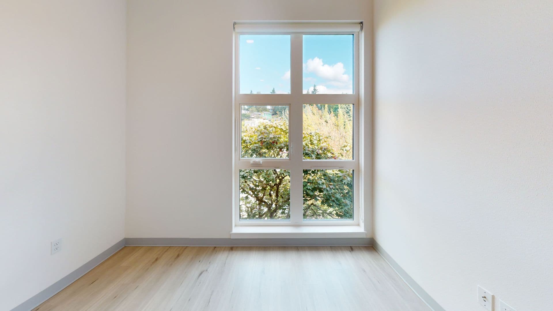 Seattle Apartment: 5231 Rainier Ave S