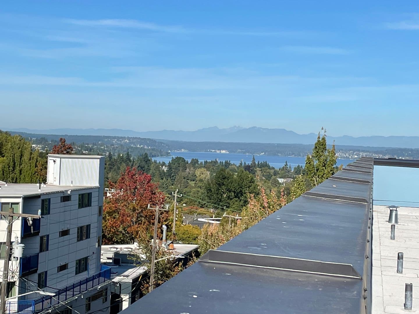 Seattle Apartment: 2302 E Denny Way
