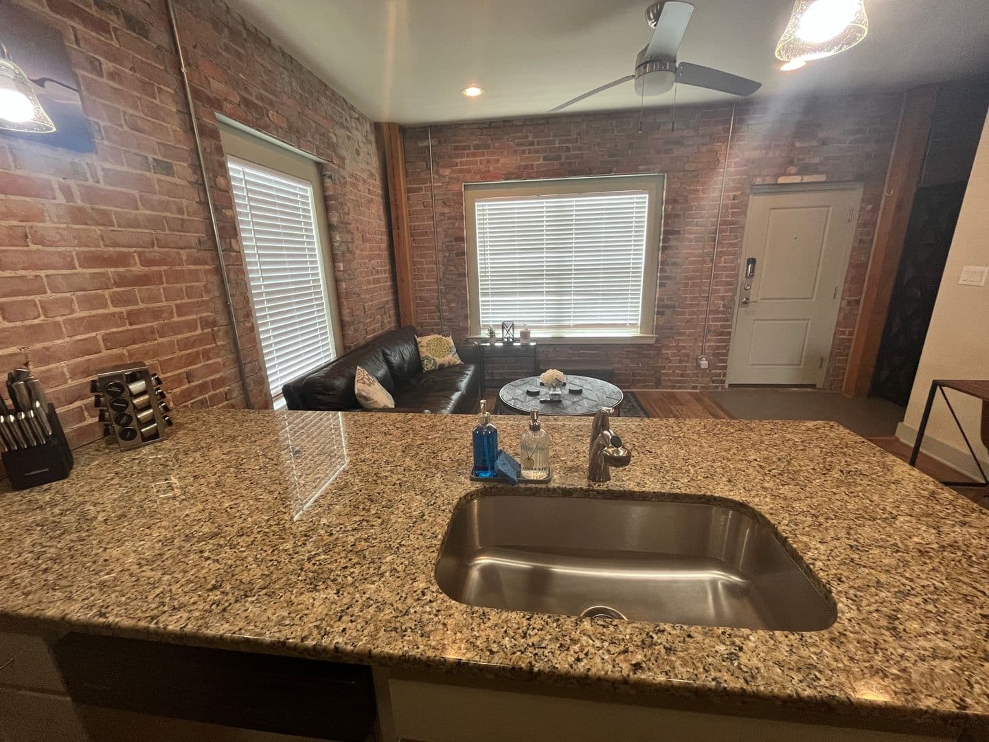 Fort Worth Apartment: 919 Alston Ave