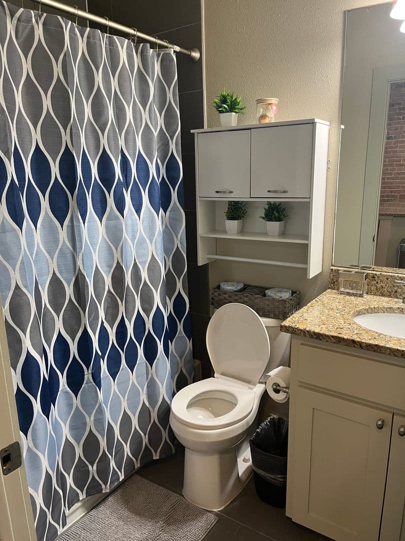 Fort Worth Apartment: 919 Alston Ave