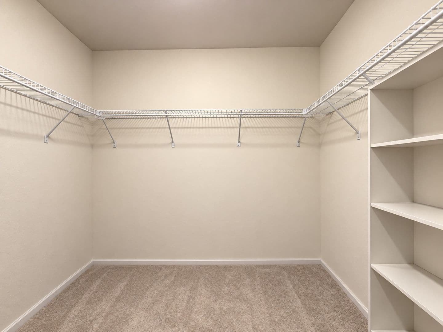 Wake Forest Townhome: 739 Gimari Drive