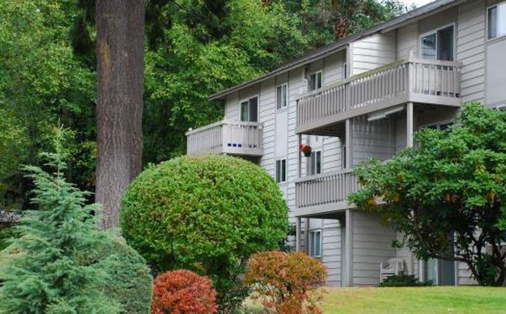 Steilacoom Apartment: 2504 Woods Dr