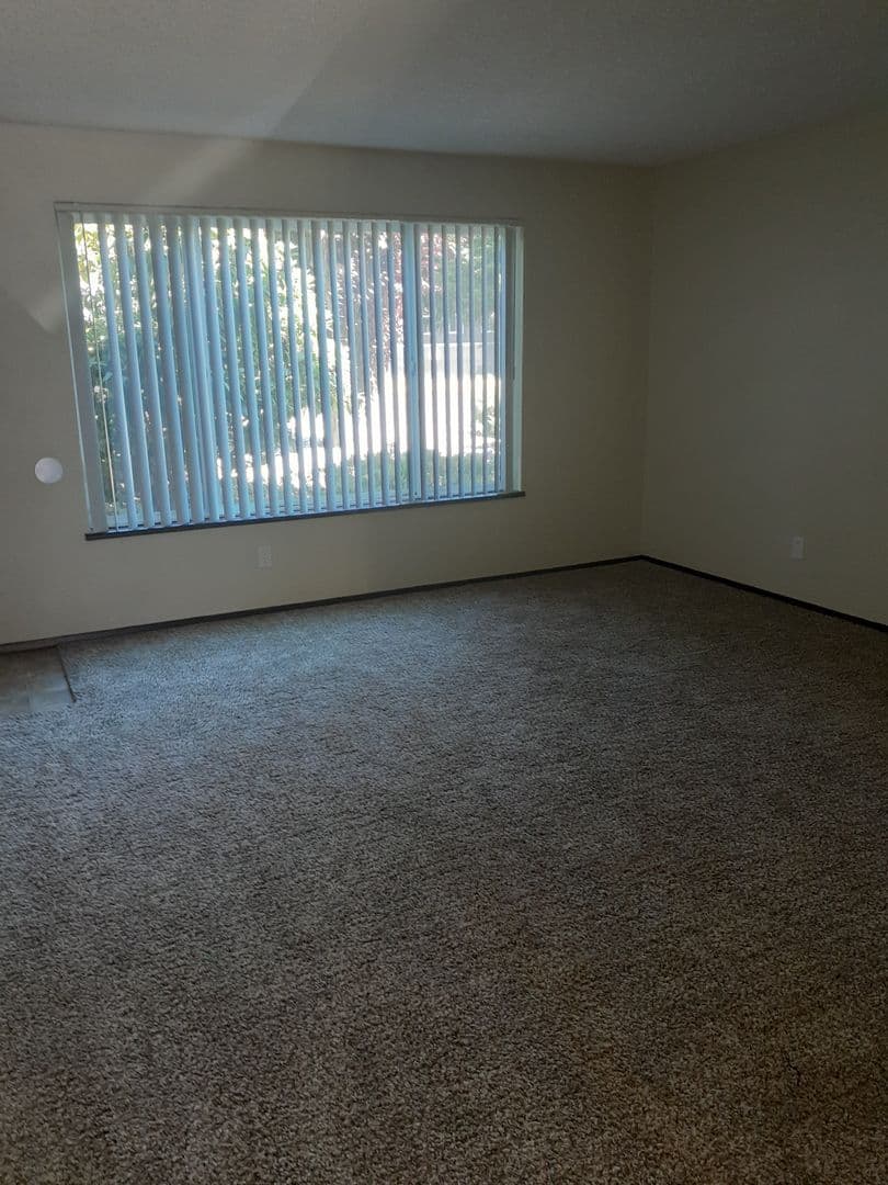 Tacoma Apartment: 301 S 84th Street