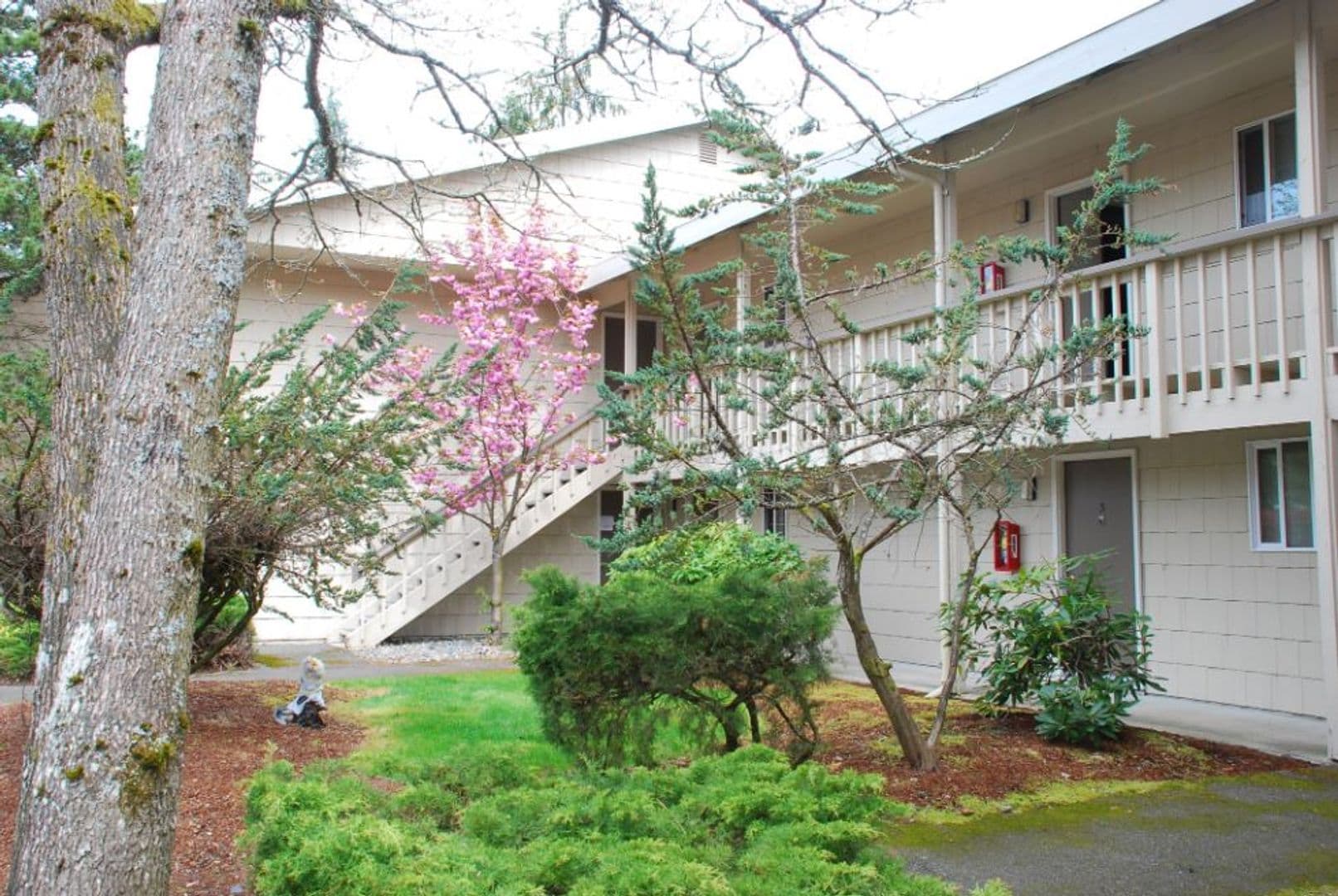 Steilacoom Apartment: 3022 Steilacoom Blvd SW