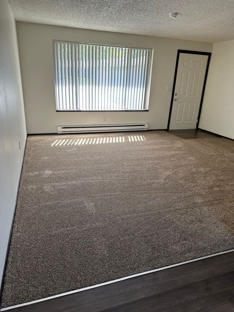Lakewood Apartment: 10610 58th Ave Ct SW