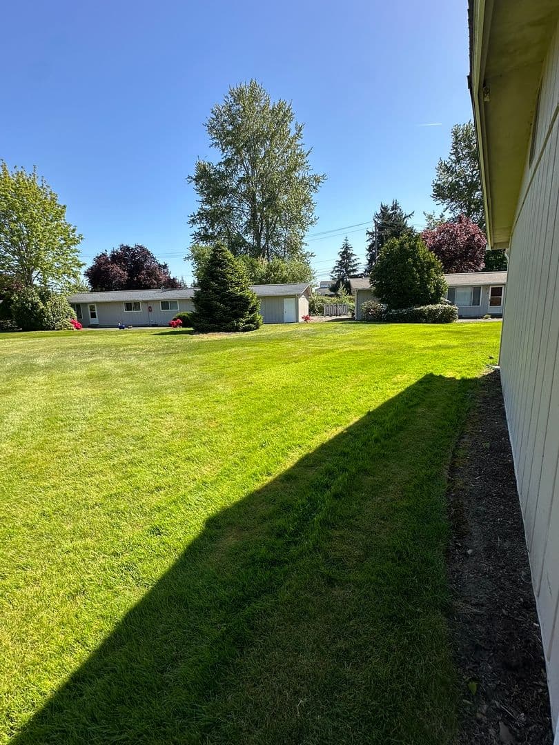 Lakewood Apartment: 10610 58th Ave Ct SW