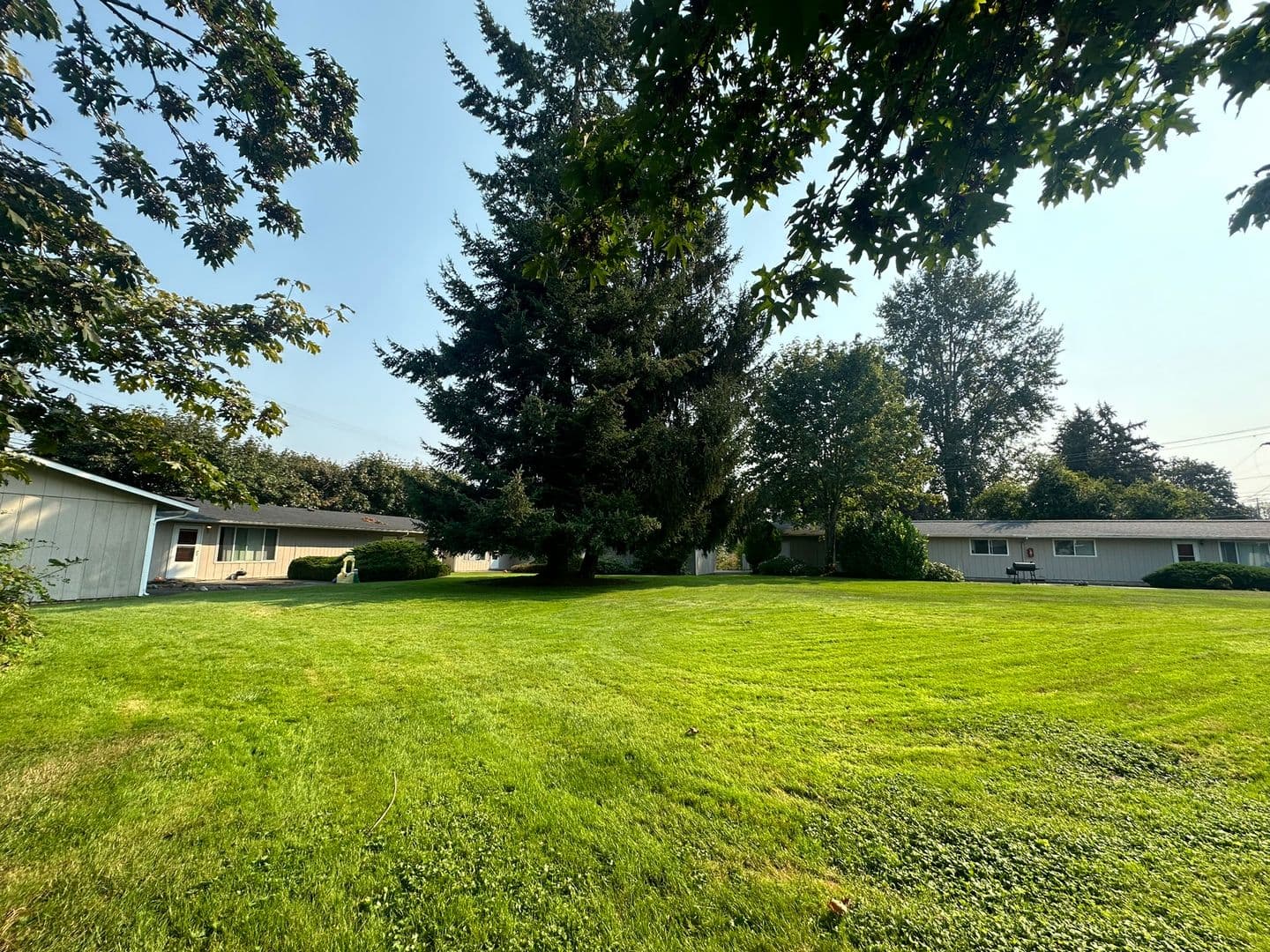 Lakewood Apartment: 10610 58th Ave Ct SW