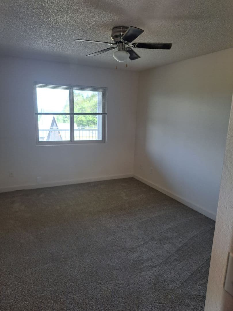 Tacoma Apartment: 5716 N 33rd Street