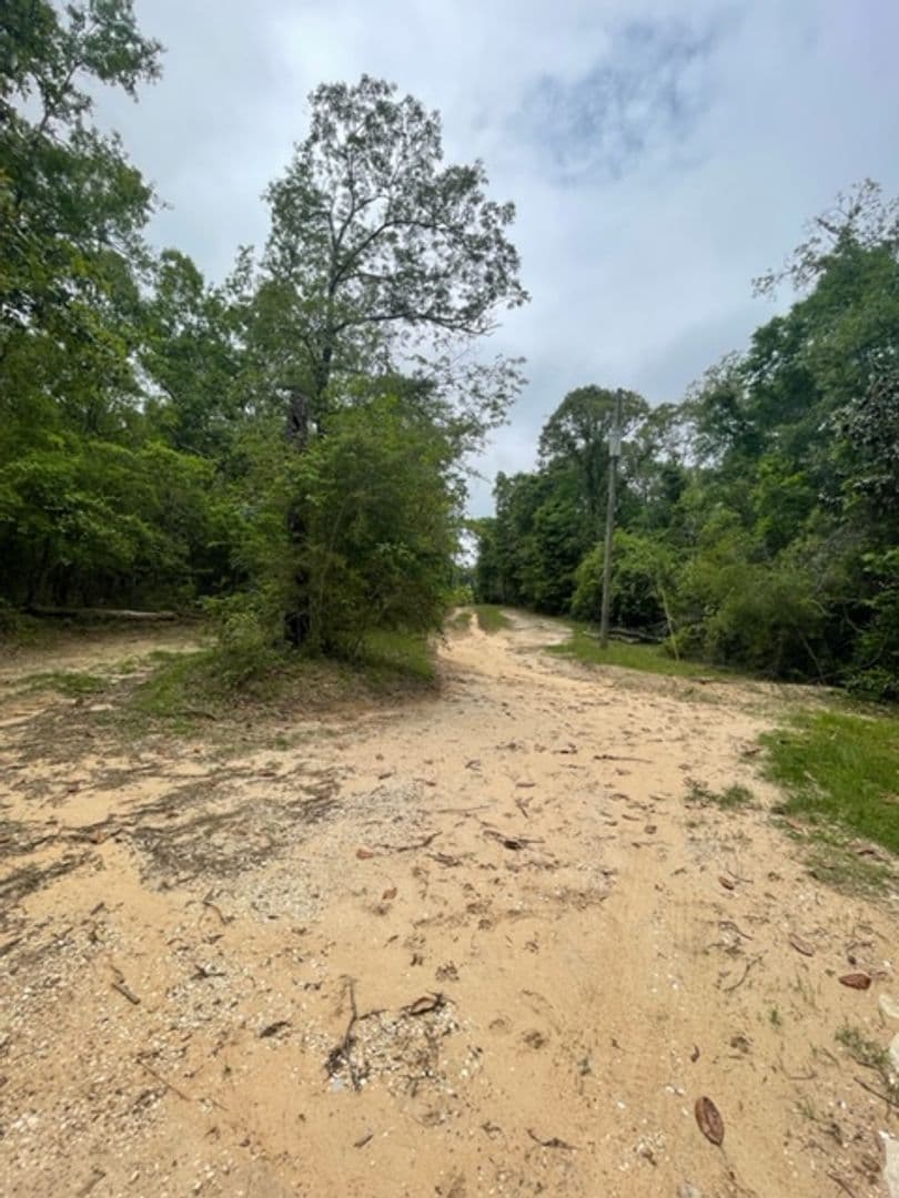 Citronelle House: 6360 Lambert Cemetery Rd, Lot A