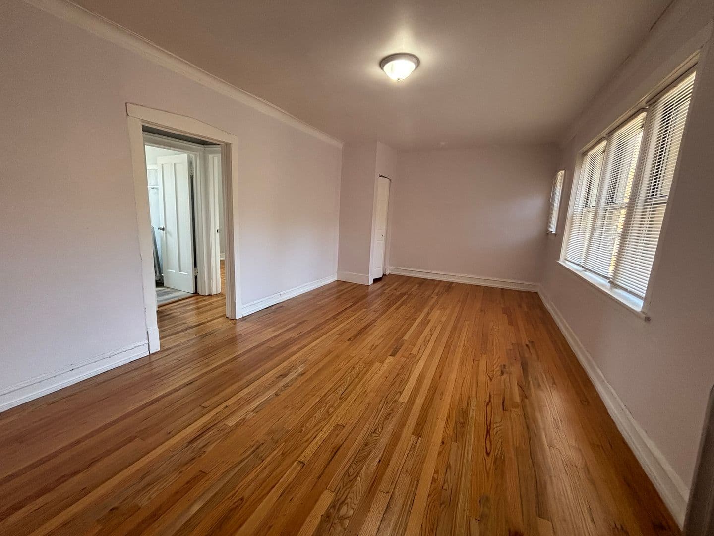 Chicago Apartment: 6600 S Ingleside Ave