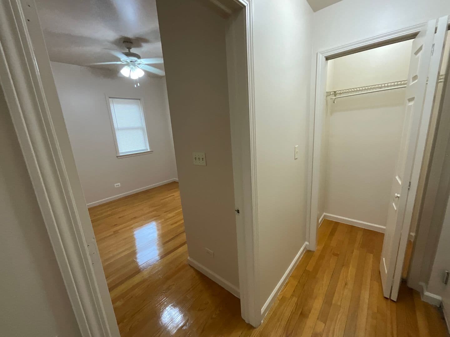 Chicago Apartment: 7001-7011 S Chappel Ave.