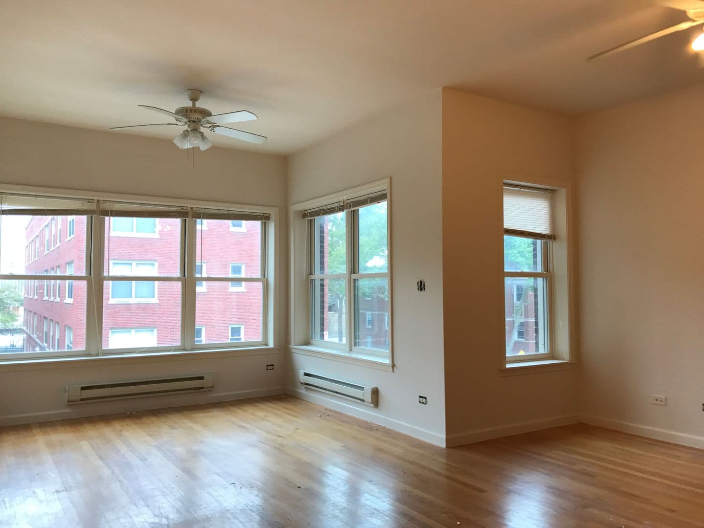 Chicago Apartment: 7001-7011 S Chappel Ave.