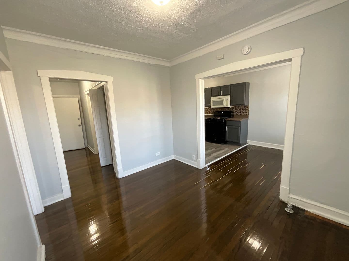 Chicago Apartment: 6600 S Ingleside Ave