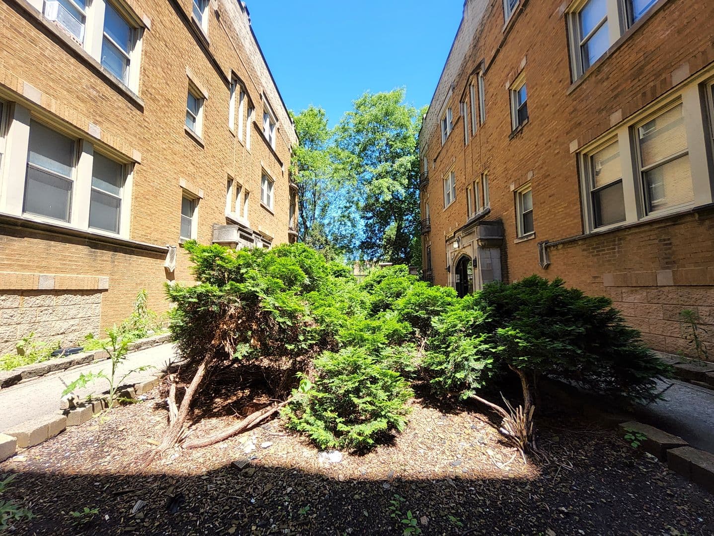 Chicago Apartment: 6600 S Ingleside Ave