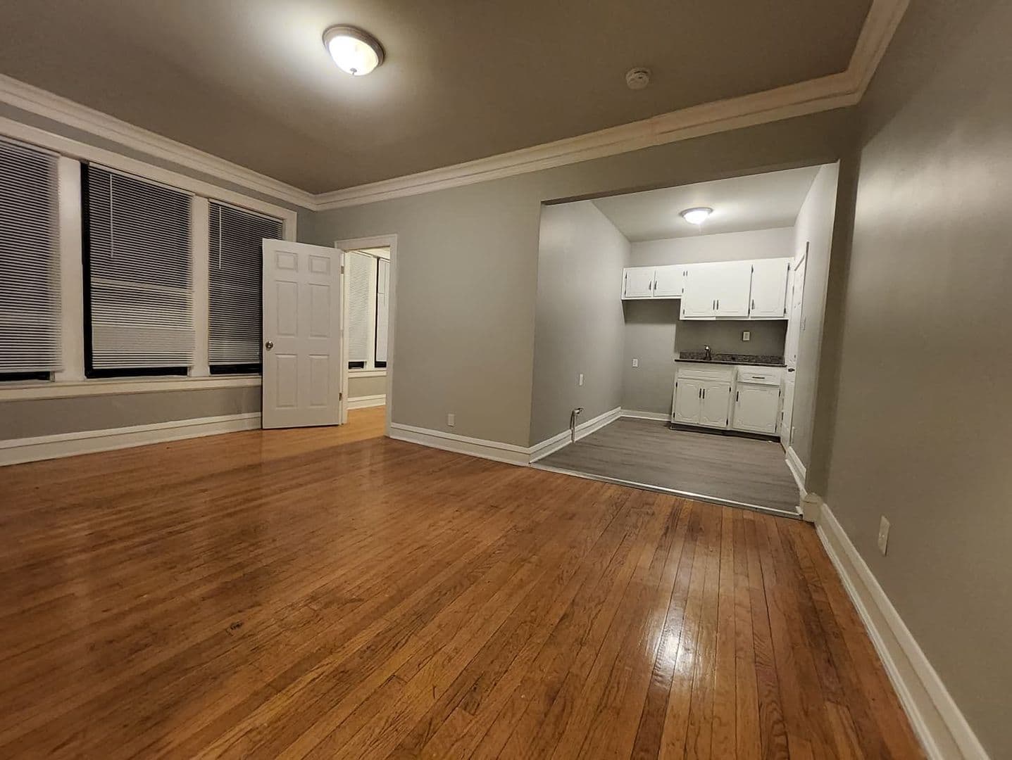 Chicago Apartment: 7201-09 S Constance Ave.