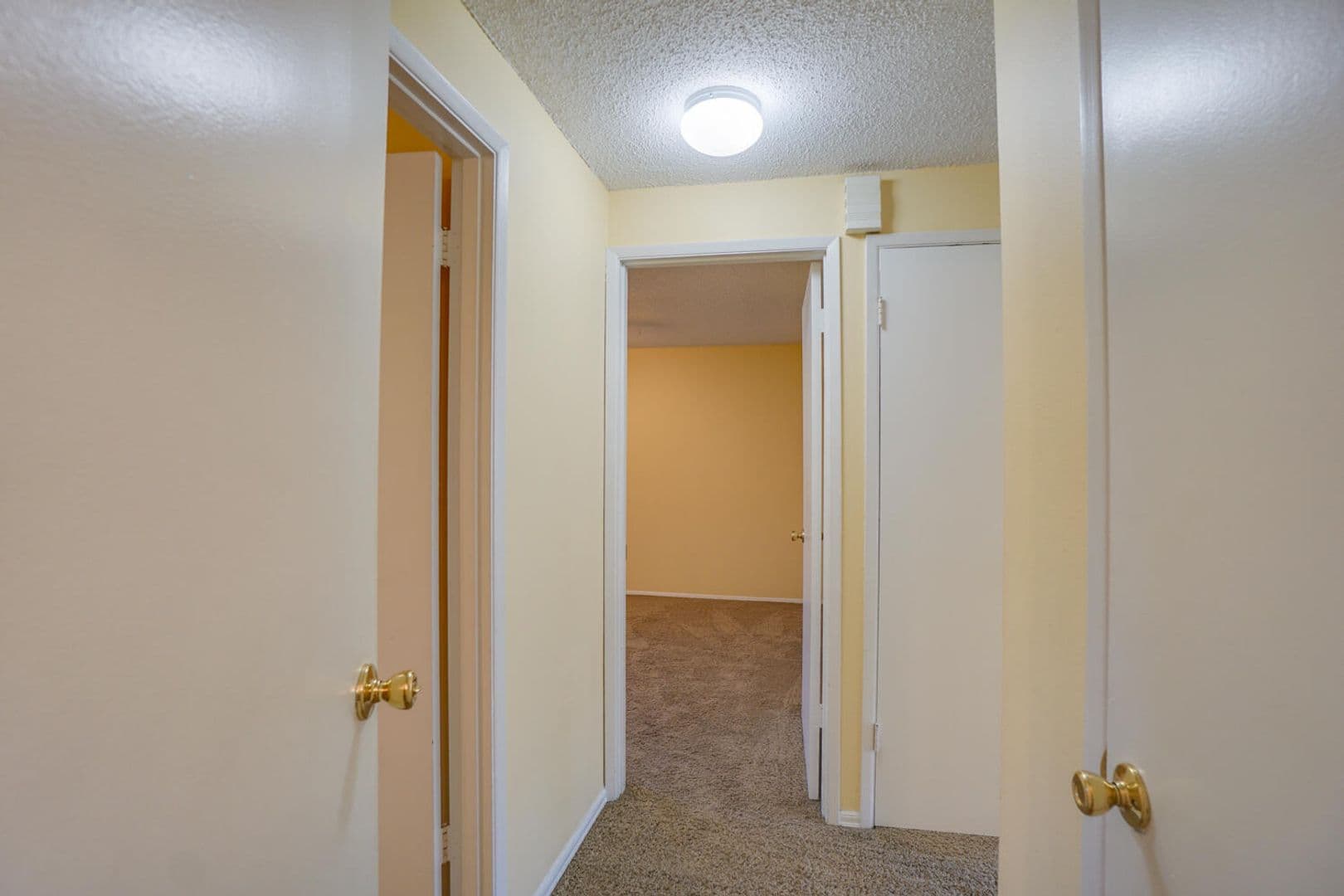 Fairview Apartment: 320 Lincoln Street