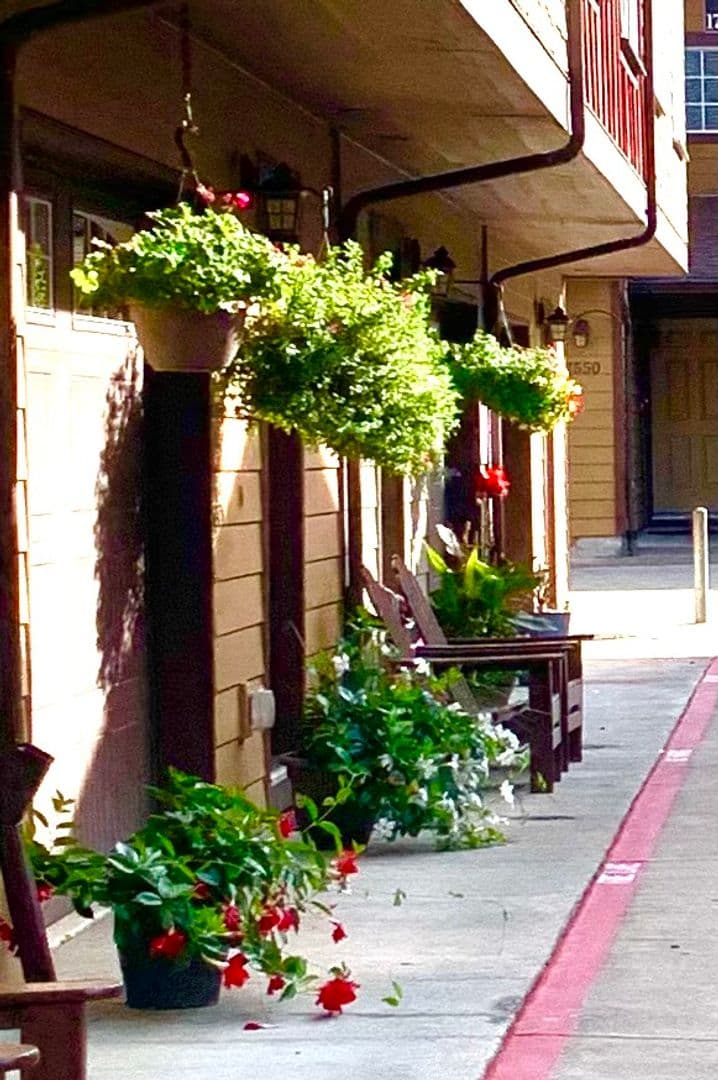 Portland Apartment: 17512-17572 SE Pine St.