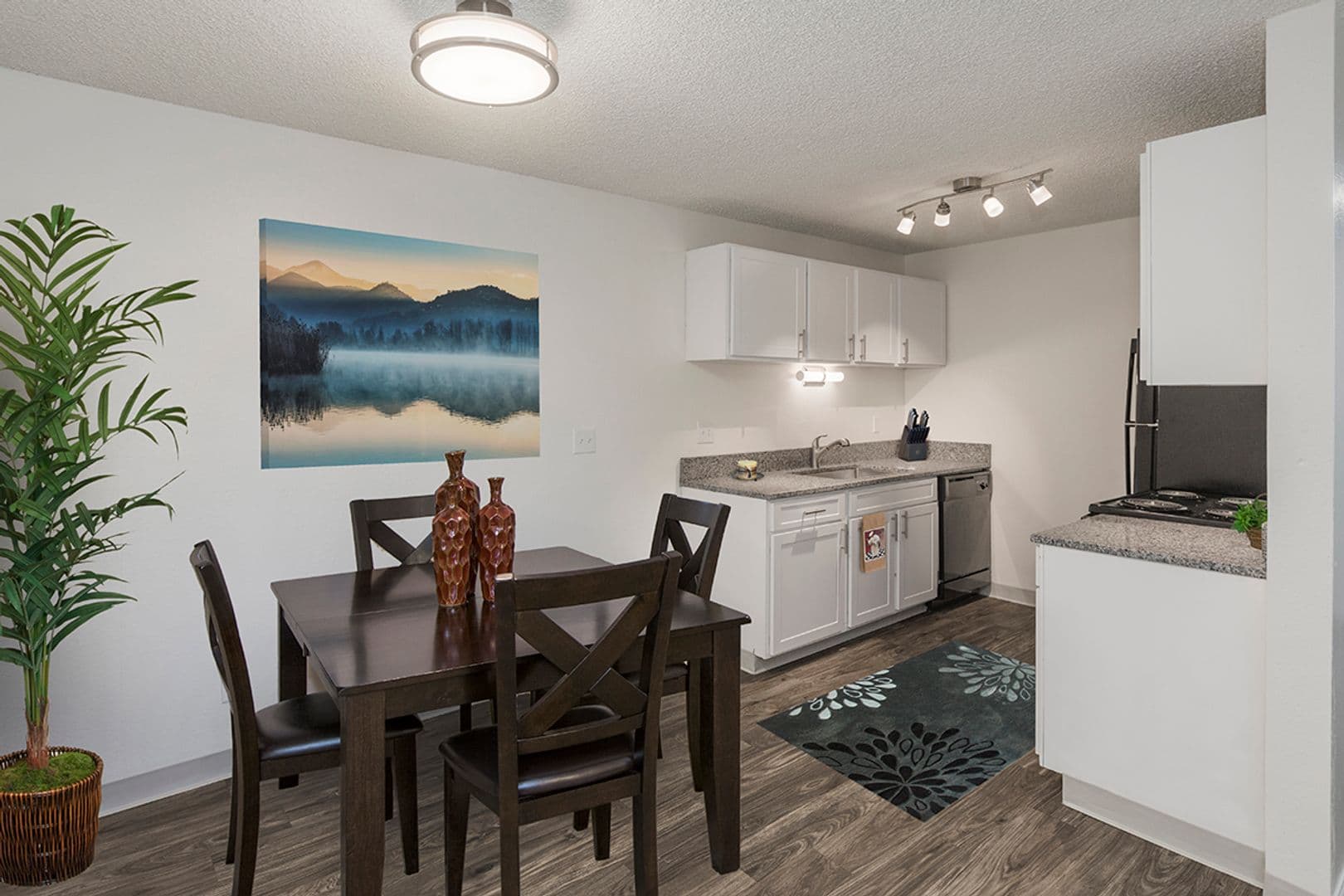 Colorado Springs Apartment: 813 S. Circle Dr.