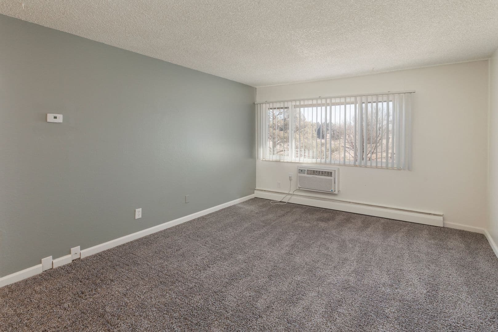 Colorado Springs Apartment: 813 S. Circle Dr.