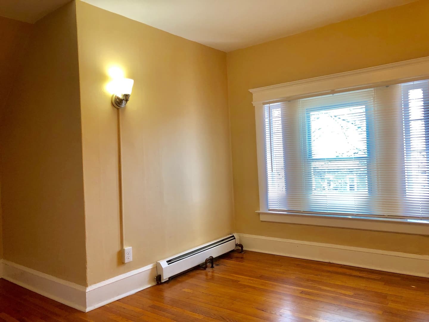 New Haven Apartment: 337 Winthrop