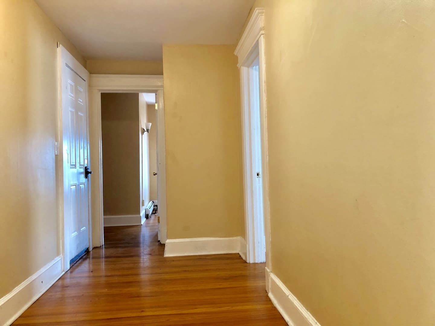 New Haven Apartment: 337 Winthrop