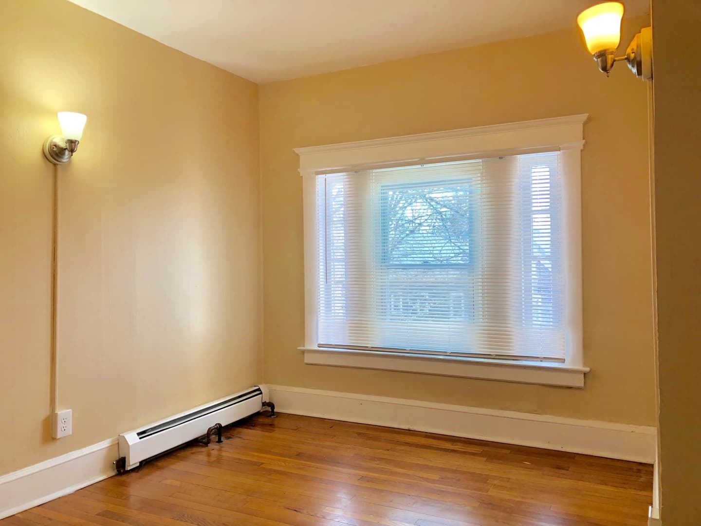 New Haven Apartment: 337 Winthrop