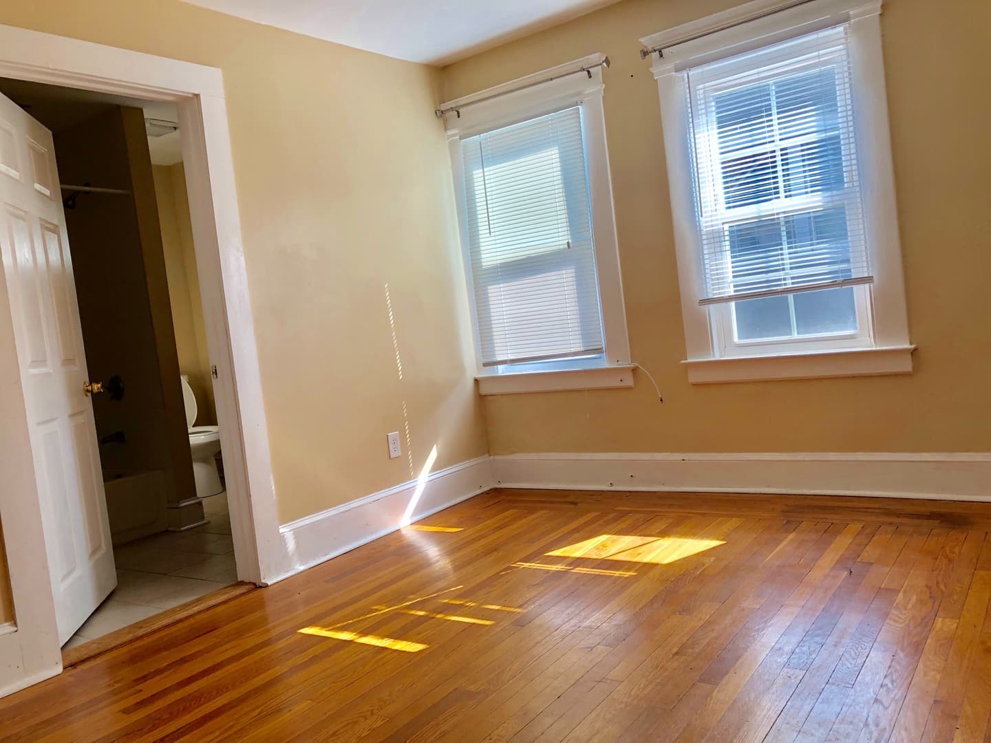 New Haven Apartment: 337 Winthrop