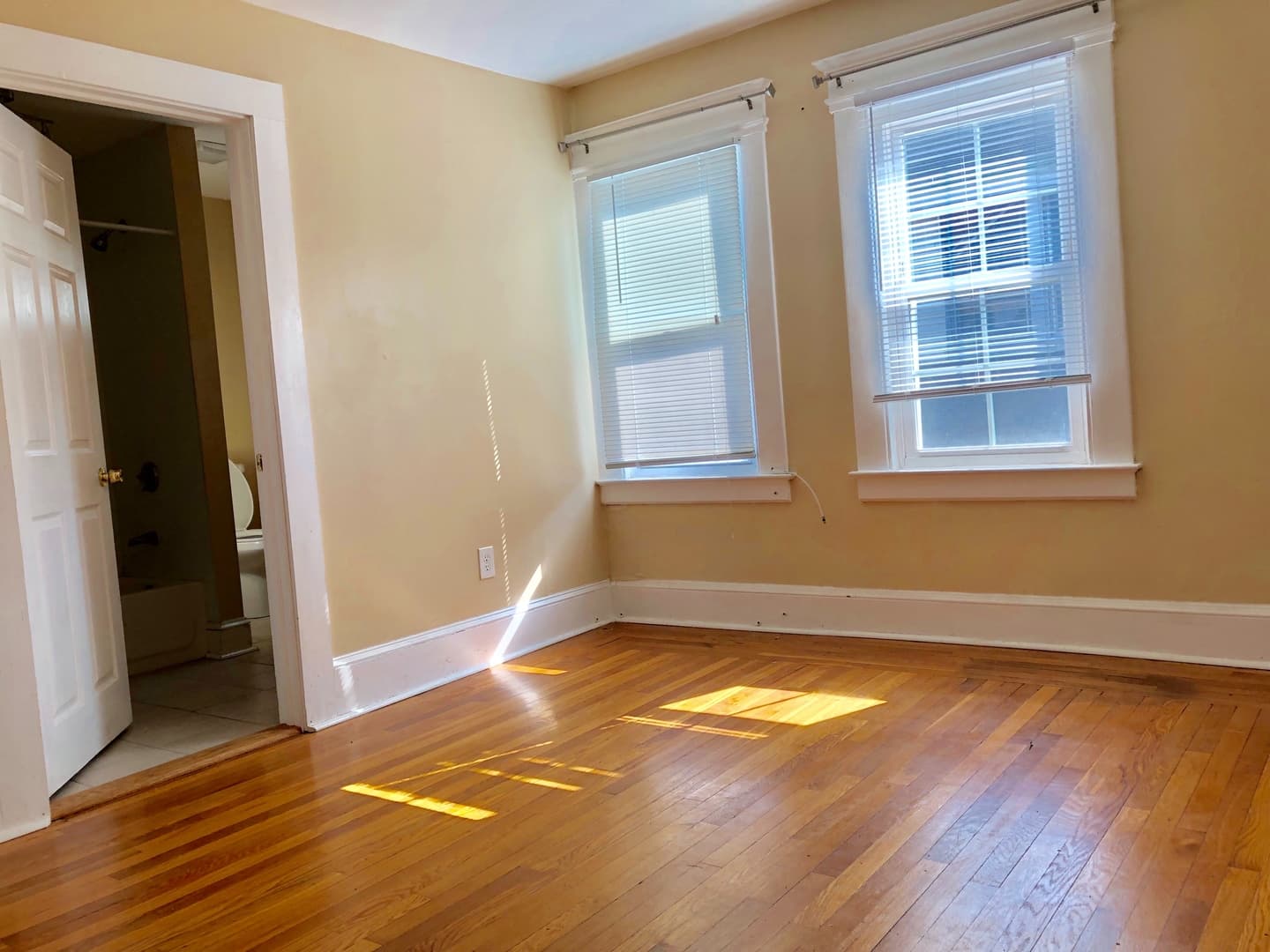 New Haven Apartment: 337 Winthrop