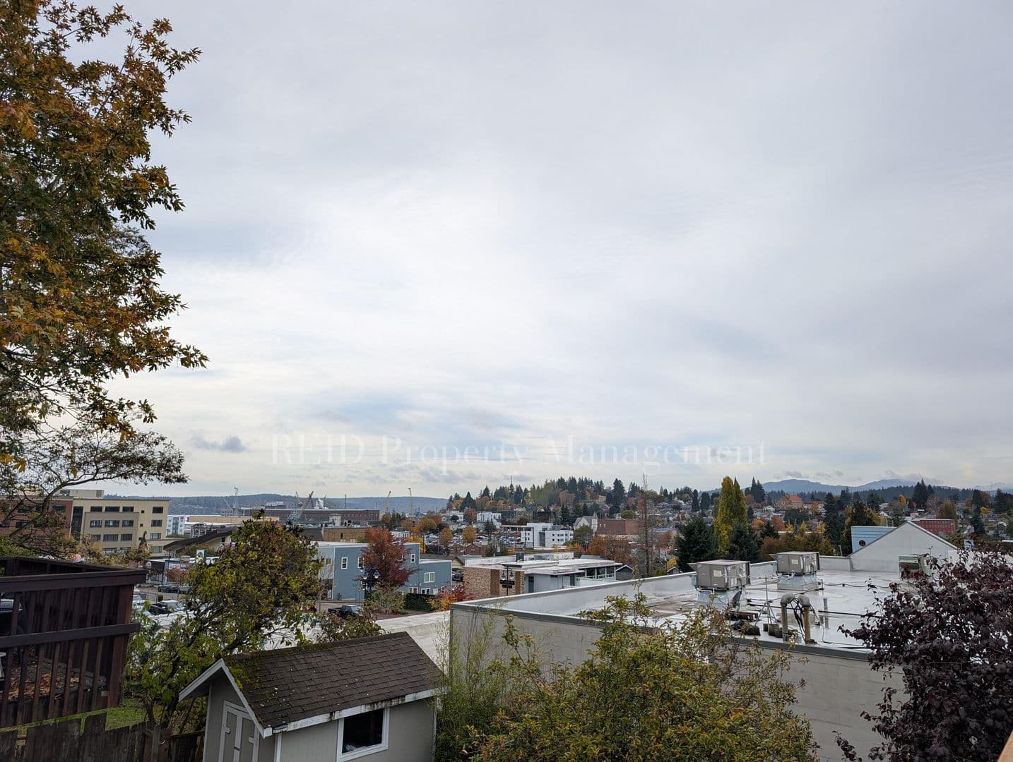 Bremerton House: 657 Pleasant Ave