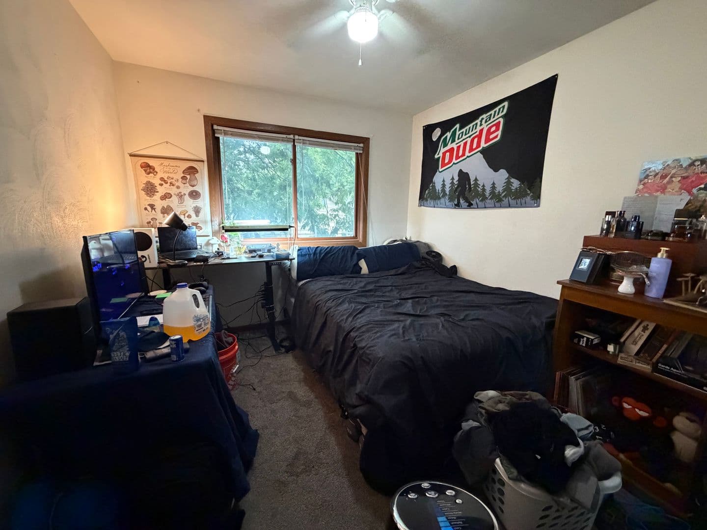 La Crosse Apartment: 410 10th St N - Apt 09