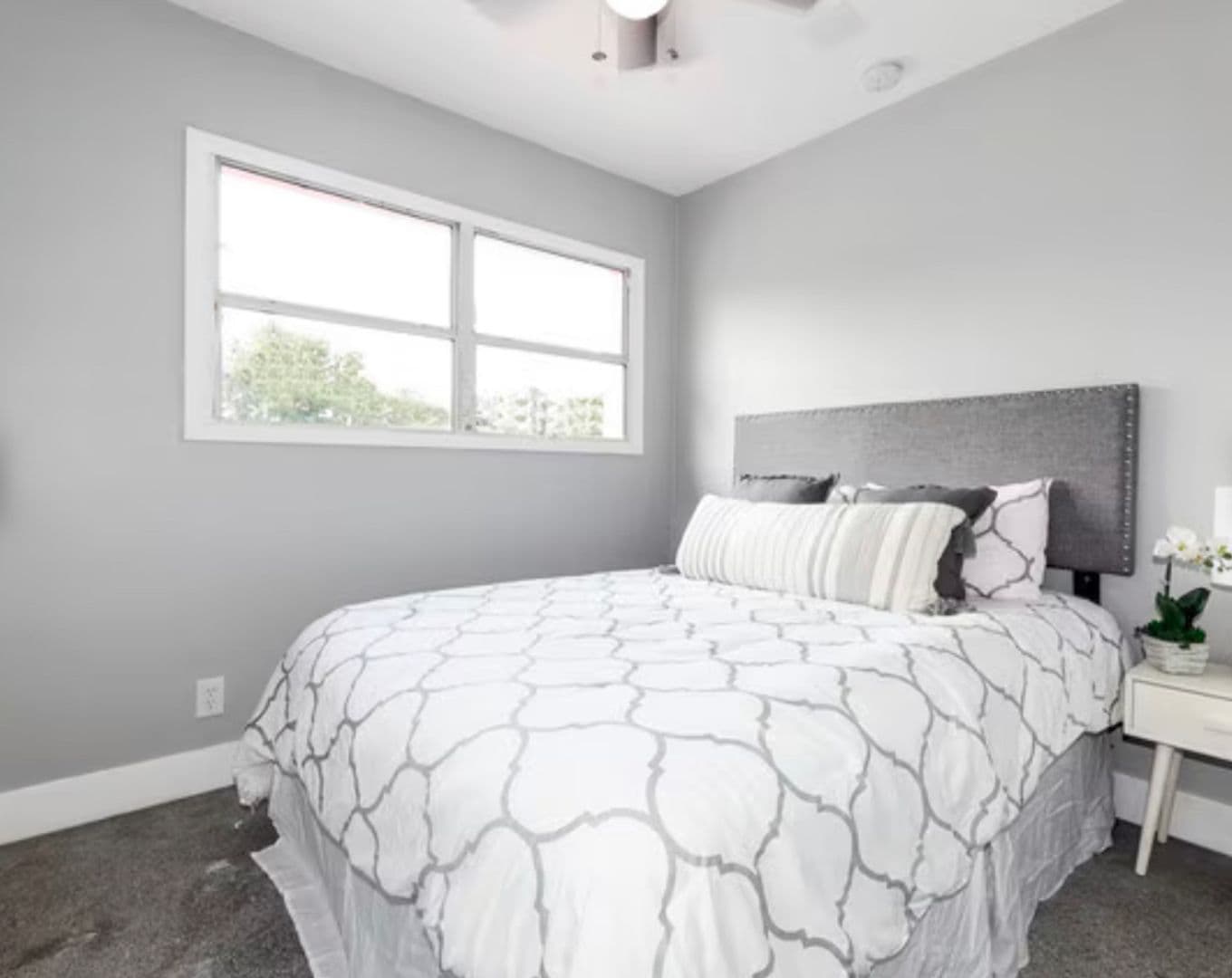 St Petersburg Apartment: 2400 15th Ave S
