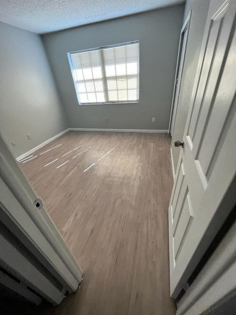 Tampa Apartment: 8733 N 50th St