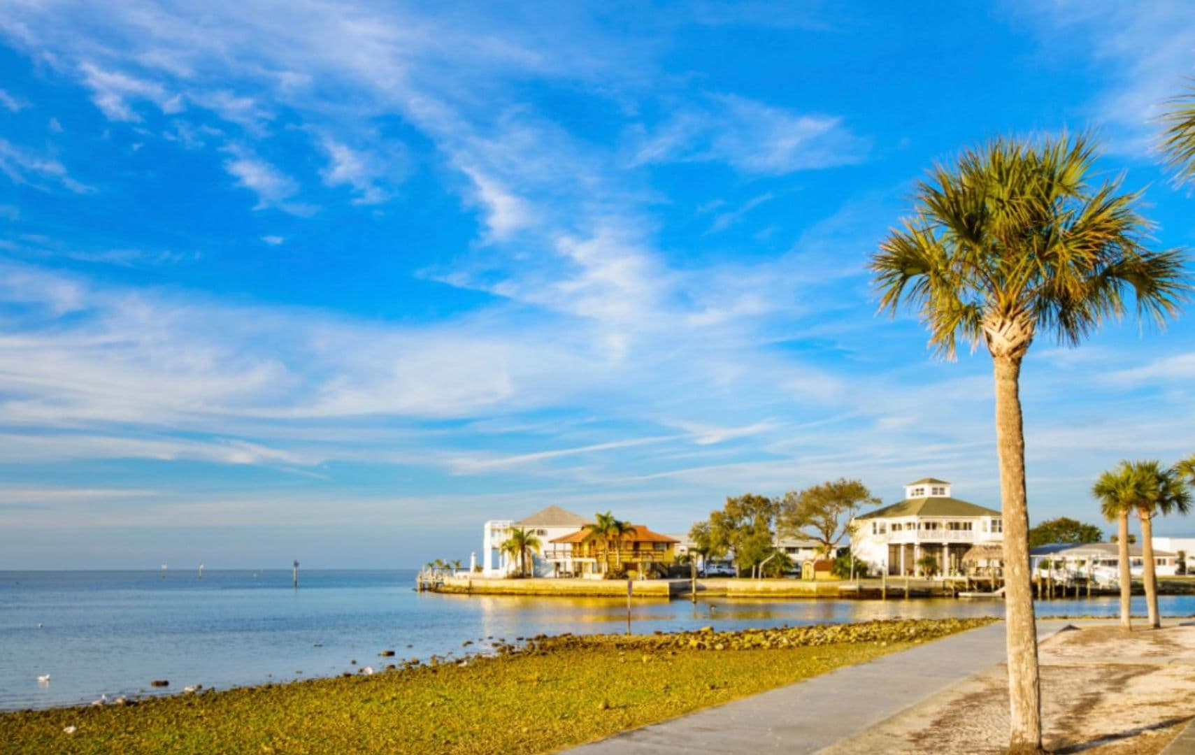 New Port Richey Apartment: 5634 Charles St
