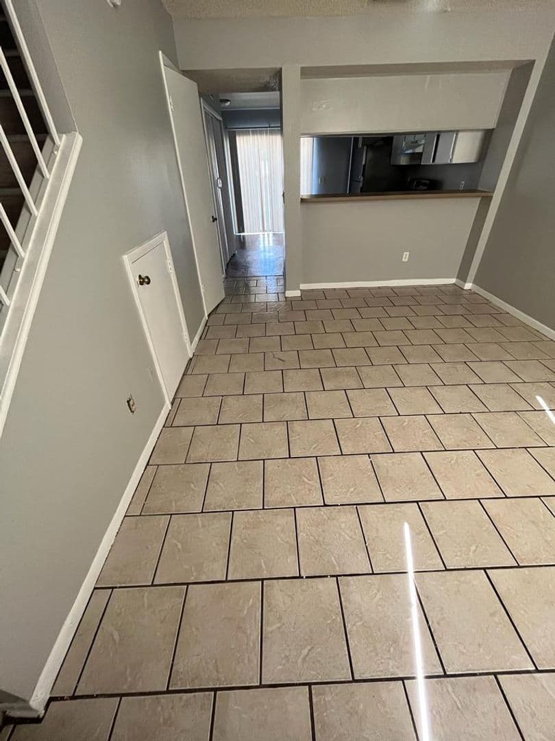 Tampa Apartment: 8733 N 50th St