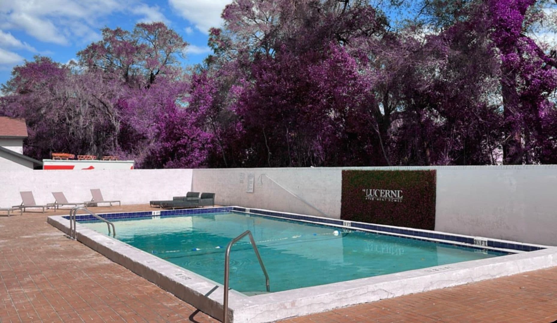 Tampa Apartment: 14323 Lucerne Drive