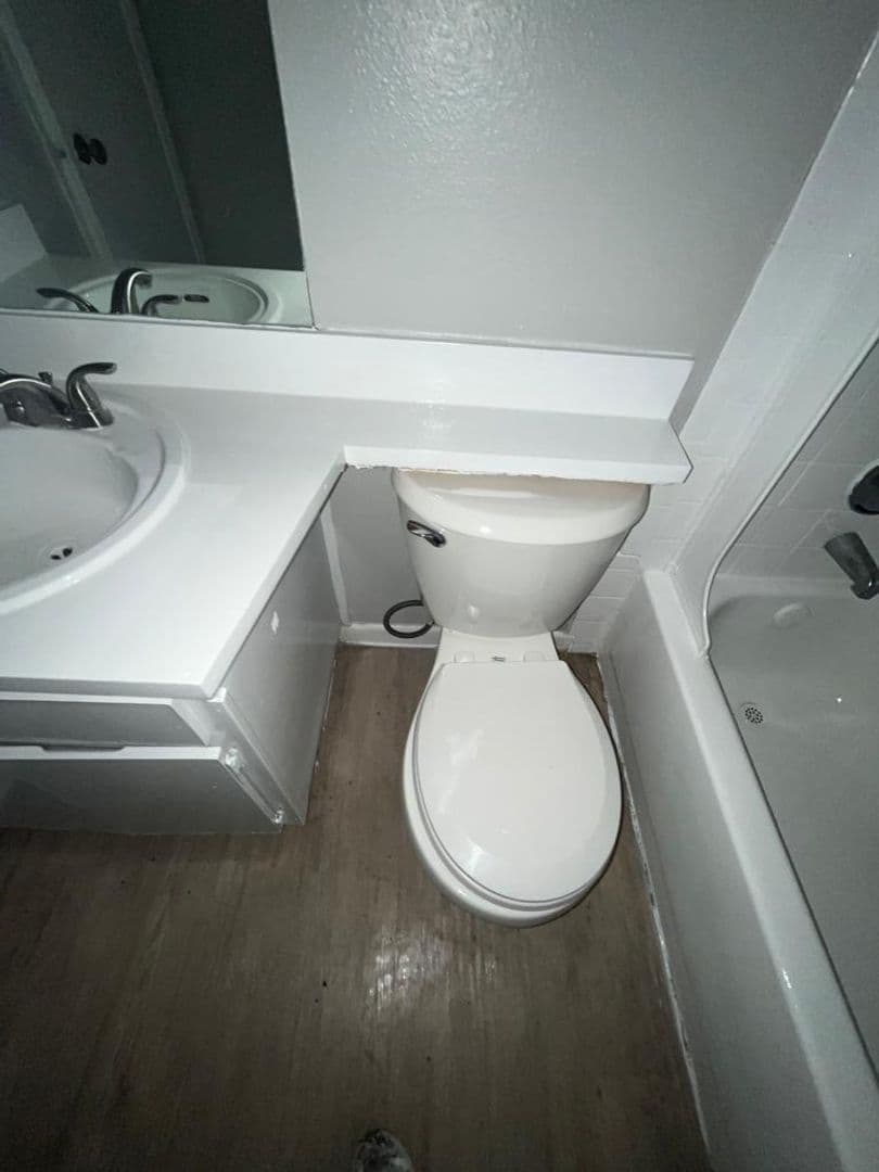 Tampa Apartment: 8733 N 50th St