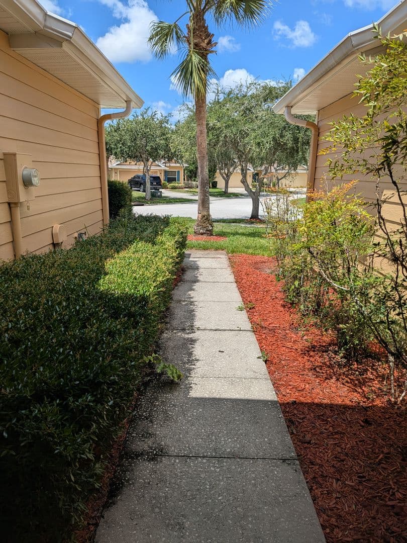 Tampa Townhome: 20405 Harvest Oak Ct.