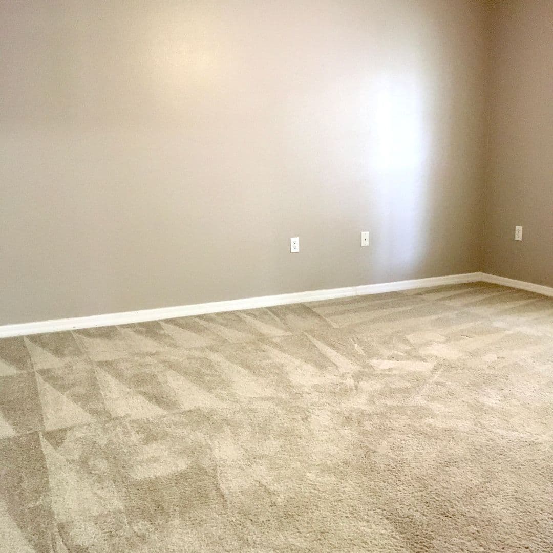 Land O Lakes House: 17010 Torvest Court